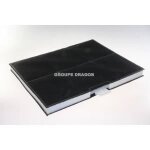 Filtre charbon actif pour hotte siemens - modèle lz52450 / 01 - dimension 280x220x20 Filtre charbon actif pour hotte siemens - modèle lz52450 / 01 - dimension 280x220x20