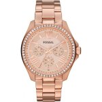 Fossil montre am4483 femme