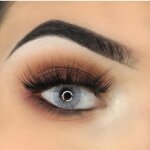 Freshtone� lentilles de contact de couleur pony gray 1ton avizor solution 10ml kit de rangement offert ...