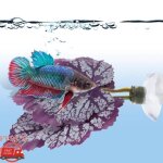 Fydun betta fish leaf pad hamac betta coussin de feuilles de poisson betta accessoires daquarium en soie ...
