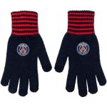 Gants de football - paris saint germain - collection officielle - bleu - acrylique - taille adulte
