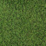Gazon synthétique - rebgreen - 15mm - 2x10m - traitement uv - aspect réaliste Gazon synthétique - rebgreen - 15mm - 2x10m - traitement uv - aspect réaliste