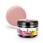 Ocibel - artistik color gel 3en1 (couleur ombr� paint) sans hema / di - hema uv / led n�3635 - 5g
