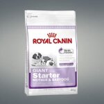 Alimentation pour chiot - royal canin - giant starter 15kg - croquette - grand - junior