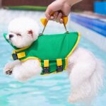 Gilets r�fl�chissants dinosaure vert s buste : 43 - 56 cm / 17 - 22 pouces cou : 31 - 41 cm / 122 - 1614 ...