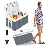 Glaci�re �lectrique en voiture - naizy - 48 l - refroidissement et r�chauffement - blanc / gris