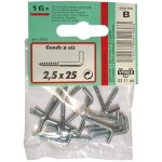Gond  vis - acier zingu - 3x30 mm