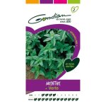 Gondian - graines l�gumes : semences menthe vert