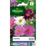 Graines - vilmorin - cosmos psych�e