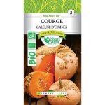 Graines courge galeuse deysines bio les doigts verts