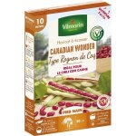 Graine - vilmorin - haricot nain � ecosser canadian wonder (type rognon de coq) - 10 m - cuisine du monde ...