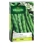 Graine - vilmorin - haricot grimpant � ecosser ma�s (type tarbais) - 10 m