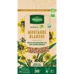 Graines de moutarde blanche bio boite de 60 grs -