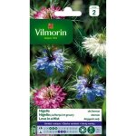 Graines - vilmorin - nigelle de damas