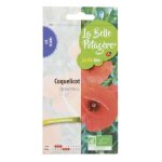 Graines  semer - coquelicot sauvage - 05 g