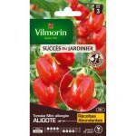 Sachet graines tomate aligote hf1 vilmorin - Sachet graines tomate aligote hf1 vilmorin -