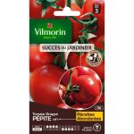 Vilmorin sachet graines de tomate grappe pepite - cration vilmorin