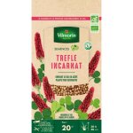 Graines de trfle incarnat bio - bio - 60g - plante lgumineuse - engrais vert - fourrage animal