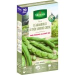 Graine - vilmorin - fve d aguadulce  trs longue cosse - 20 m