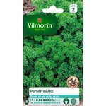 Graine - vilmorin - persil frise alto - plante aromatique - hiver - soleil - eté Graine - vilmorin - persil frise alto - plante aromatique - hiver - soleil - eté