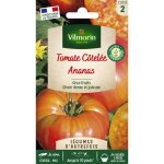 Graines - vilmorin - tomate ananas - lgumes d autrefois