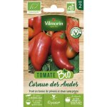 Graines - vilmorin - tomate cornue des andes - bio
