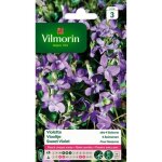 Graine de violette des 4 saisons odorante - vilmorin - plante fleurie - massif - fleurit chaque anne ...