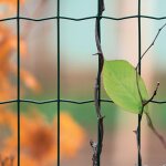 Grillage soud vert werka pro en rouleau de 25m 15 x 25m