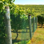 Grillage vert pour voli�re - tiss� en carr� - rev�tement en pvc - 50 cm h x 1000 cm l vert