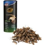 Grillons - complment nutritionnel - iguane - riche en protines - moins de 1 kg - petit animal