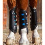 Gu�tres post�rieurs pour cheval premier equine air cooled original eventing - black - post�rieurs / m ...