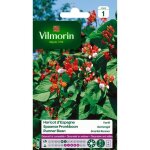 Vilmorin haricot d?espagne vari
