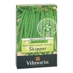 Graine - vilmorin - haricot nain vert skipper + 20 g offert