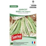 Haricot � rames ma�s (tarbais � ecosser)