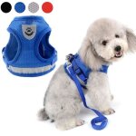 Harnais animal anti tractionharnais chien ajustable filetdouillet harnais chat avec ensemble de bande ...