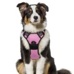 Harnais chien - gilet pour chien - rose taille xl - - rglable rflchissant matriau respirant