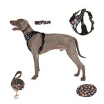 Harnais chien m harnais anti traction pour chien facile � mettre avec poign�e contr�le arnet pour chien ...