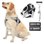 Harnais chien xxlr�fl�chissant harnais anti traction avec laisse pour chien et poign�e rembourr�e pour ...
