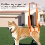 Harnais de levage pour chien de compagnie en maille (s ) - cet
