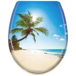 Abattant wc - hengmei - plage - frein de chute - charni�res en acier inoxydable - duroplastique