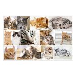 Sous - main antid�rapant - herma - 19378 - 55x35 cm - design recto verso - motif chien et chat