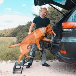Escalier pour chien pliable - ohmg - 4 marches - noir - supporte 80 kg Escalier pour chien pliable - ohmg - 4 marches - noir - supporte 80 kg
