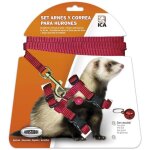 Ica harnais furet 5 kg