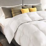 Idmarket couette 220x240 cm aela blanche en plume doie anti acarien 500 gr