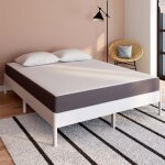 Idmarket matelas 160 x 200 cm � m�moire de forme stella �paisseur 20 cm