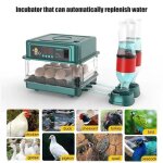 Incubateur oeuf automatique professionnel avec dispositif automatique pour retourner les ?ufs - pour ...