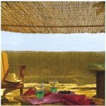 Intermas - brise vue en roseau 75% occultant 2 x 5 m reedcane