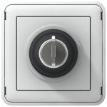 Interrupteur �tanche plexo 3a 250v - legrand - cl� m�canisme enjoliveur