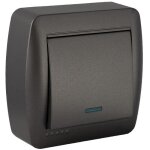 Interrupteur va et vient voyant lumineux saillie - noir graphite - solera