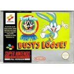 Jeu pour nintendo super nes busts loose